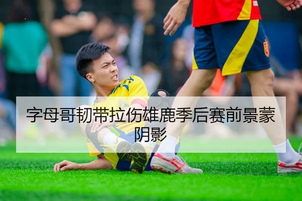 zi-mu-ge-ren-dai-la-shang-xiong-lu-ji-hou-sai-qian-jing-meng-yin-ying-2-444.jpg